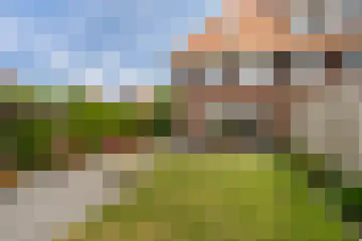 Kolk 9 Poeldijk thumbnail 17