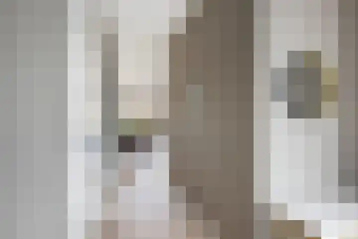 Kolk 9 Poeldijk thumbnail 19