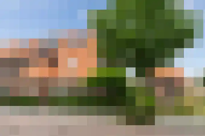 Kolk 9 Poeldijk foto 3