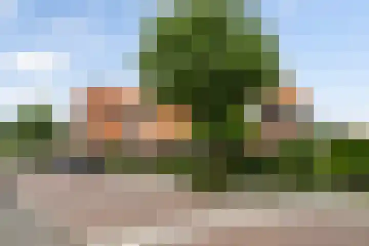 Kolk 9 Poeldijk thumbnail 36