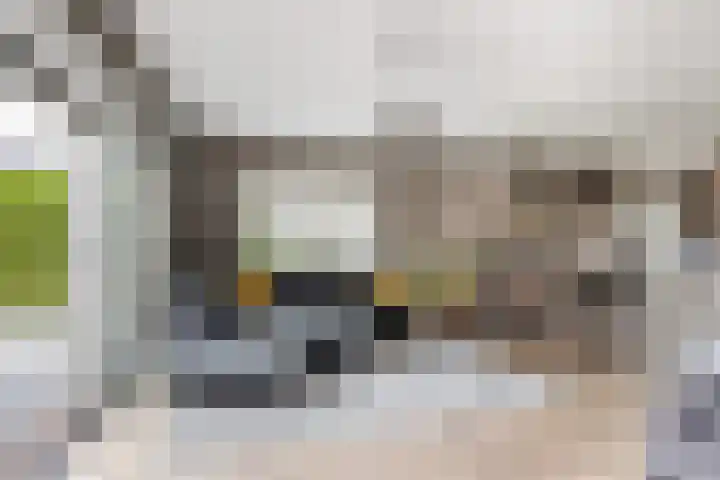 Kolk 9 Poeldijk thumbnail 5