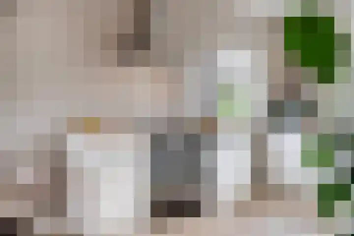 Kolk 9 Poeldijk thumbnail 9