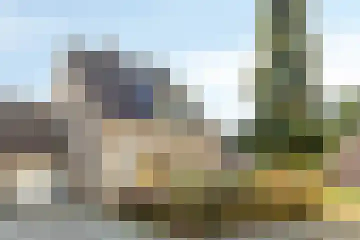 Kolkakkers 24 dans Dalen