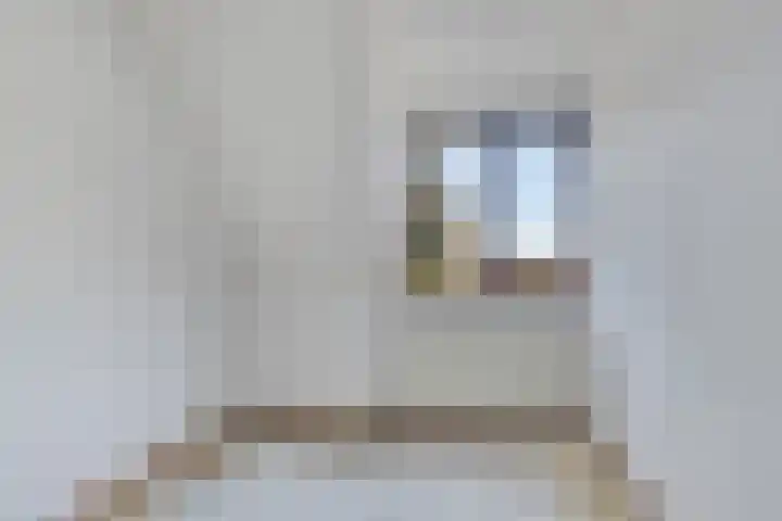 Kolkakkers 24 Dalen thumbnail 14
