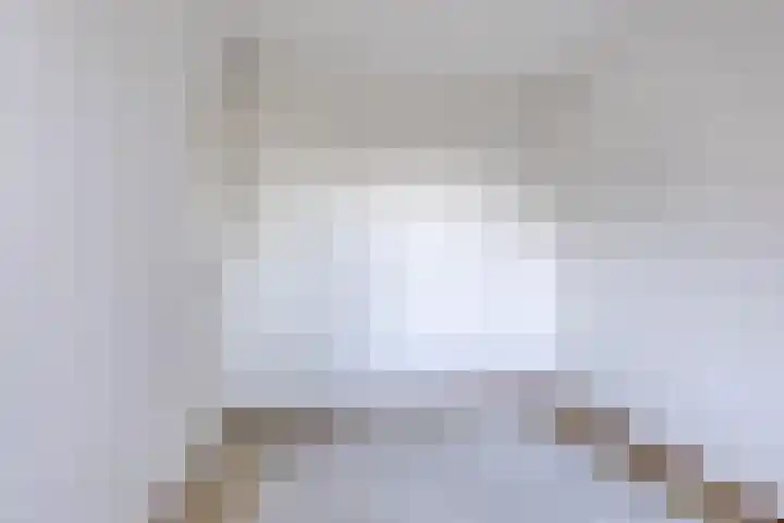 Kolkakkers 24 Dalen thumbnail 15