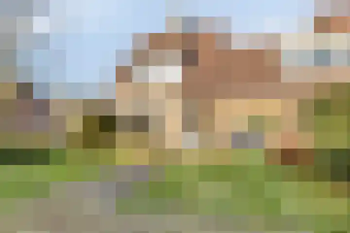 Kolkakkers 24 Dalen thumbnail 25