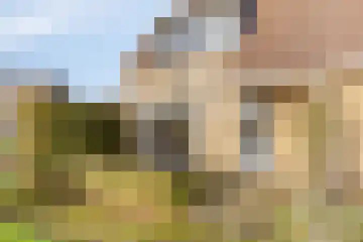 Kolkakkers 24 Dalen thumbnail 26