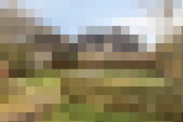 Kolkakkers 24 Dalen thumbnail 27