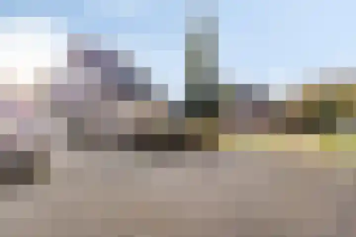 Kolkakkers 24 Dalen thumbnail 29