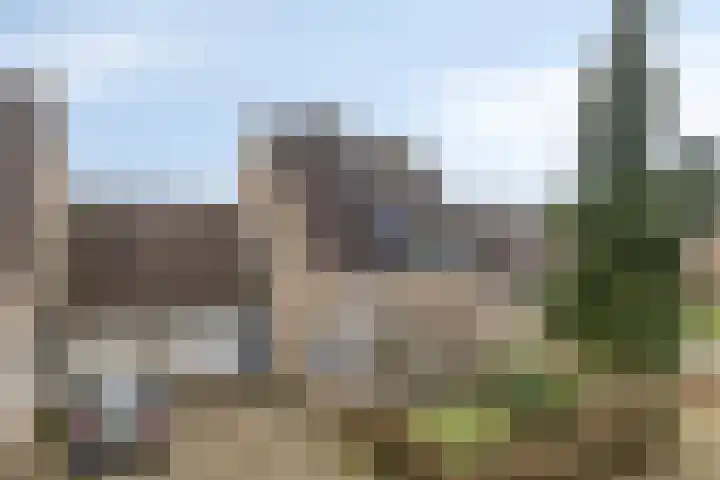 Kolkakkers 24 Dalen thumbnail 31