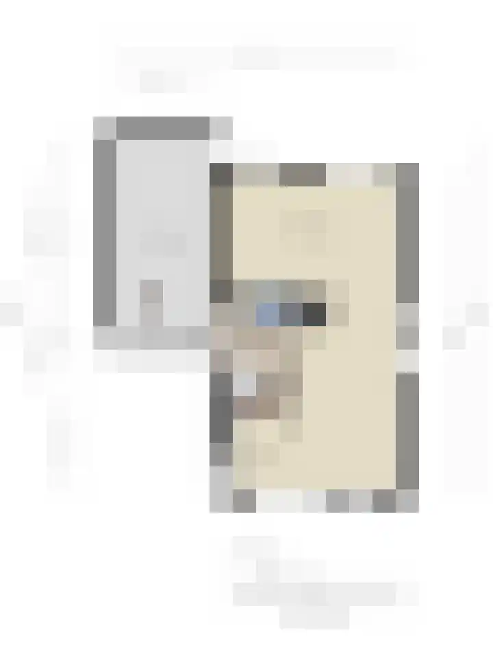 Kolkakkers 24 Dalen thumbnail 33