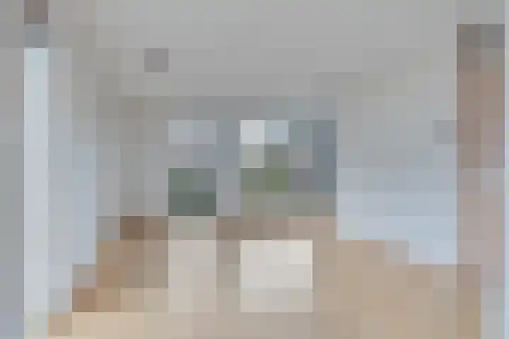 Kolkakkers 24 Dalen thumbnail 6