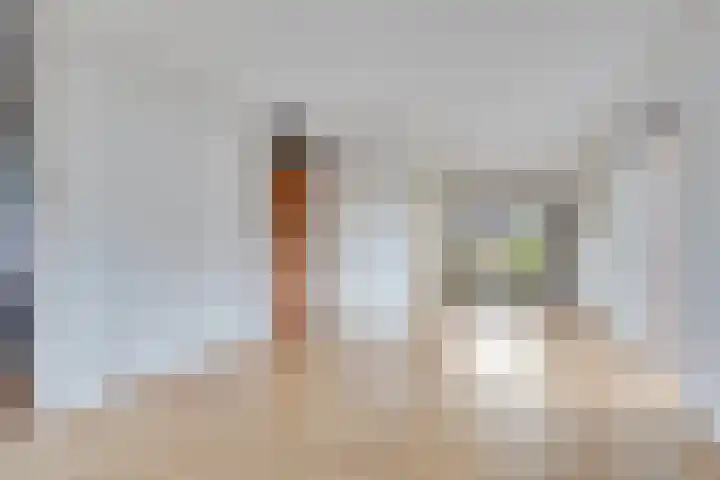 Kolkakkers 24 Dalen thumbnail 7
