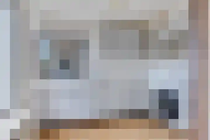 Kolkakkers 24 Dalen thumbnail 8