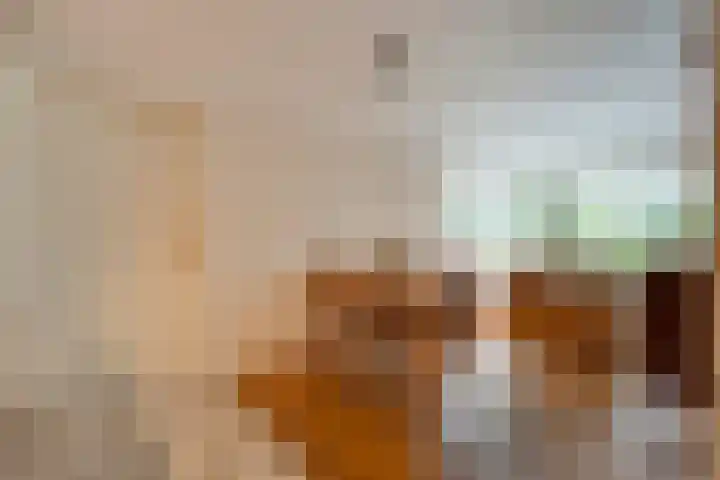 Kolkakkers 98 Dalen thumbnail 12