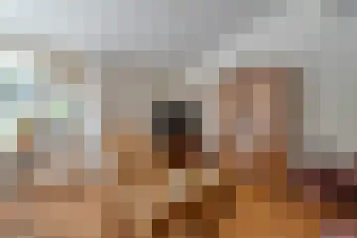 Kolkakkers 98 Dalen thumbnail 14