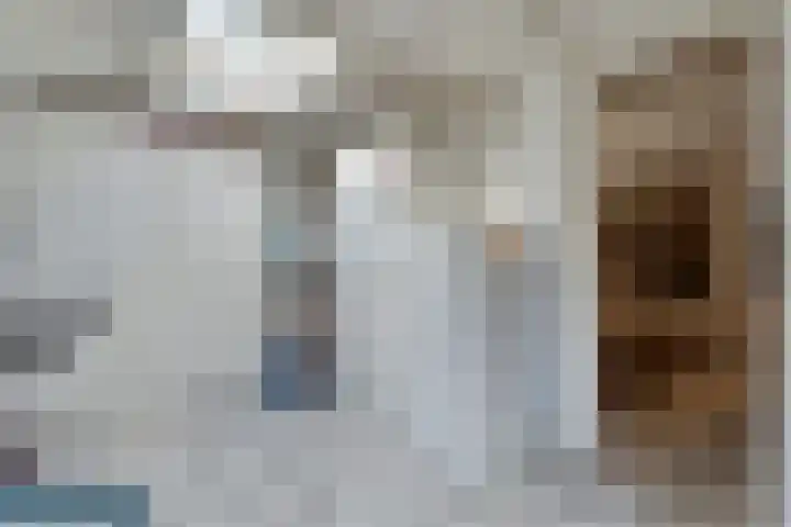 Kolkakkers 98 Dalen thumbnail 17