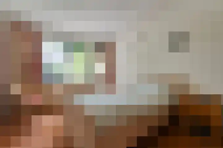 Kolkakkers 98 Dalen thumbnail 19