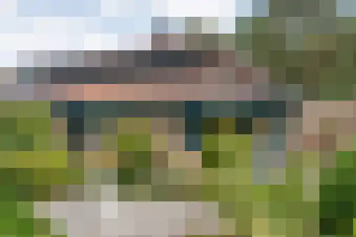 Kolkakkers 98 Dalen foto 2
