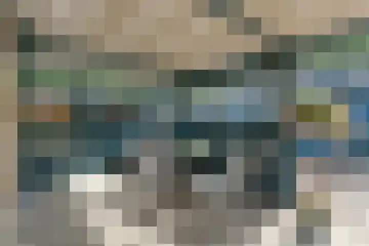 Kolkakkers 98 Dalen thumbnail 23