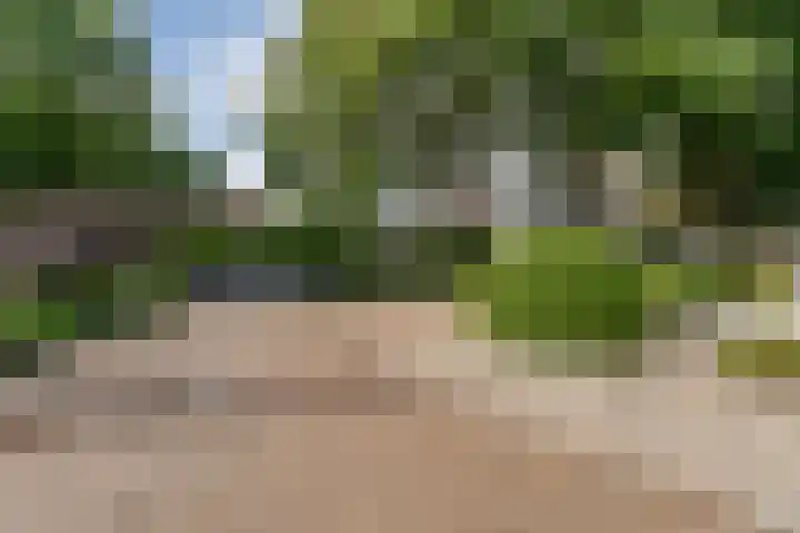Kolkakkers 98 Dalen thumbnail 24