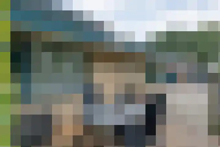 Kolkakkers 98 Dalen thumbnail 27