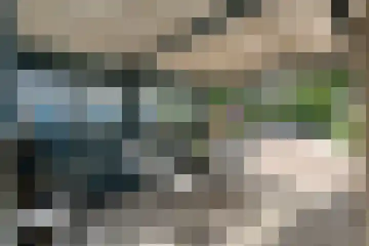 Kolkakkers 98 Dalen thumbnail 30