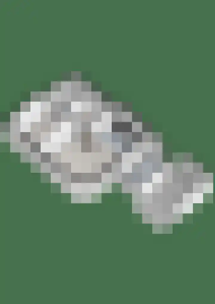 Kolkakkers 98 Dalen thumbnail 33