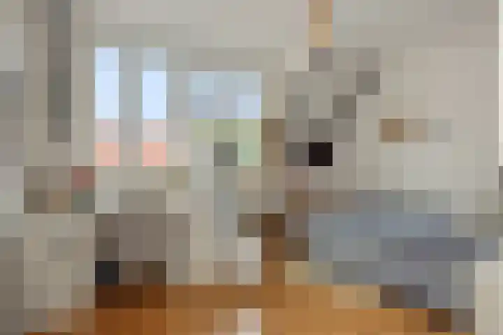 Kolkbeemden 34 Helmond thumbnail 27