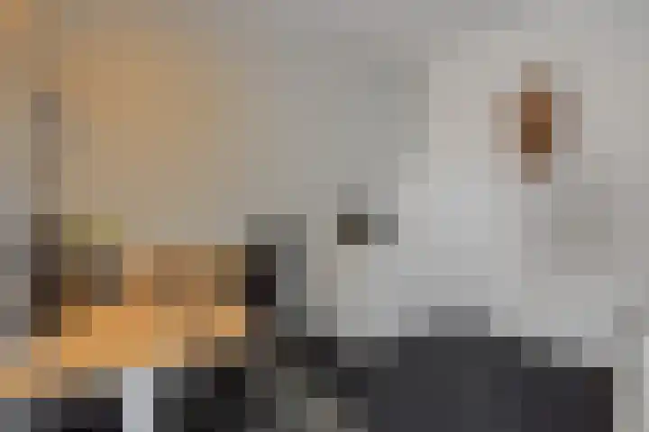 Kolkbeemden 34 Helmond thumbnail 32