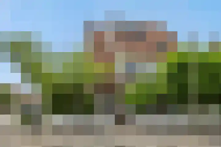Kolkbeemden 34 Helmond thumbnail 52