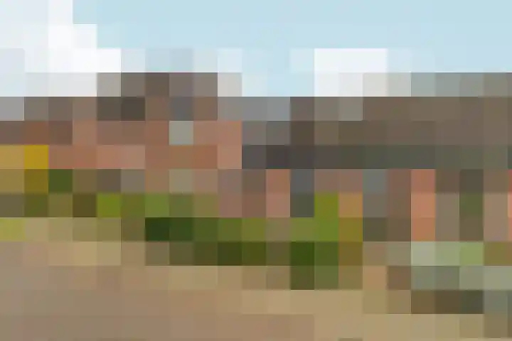 Kolkgriend 207 Almere thumbnail 4