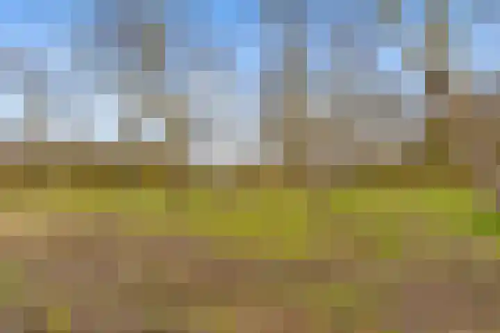 Kolkgriend 21 Almere thumbnail 48