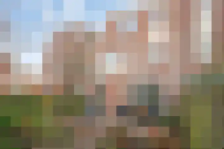 Kolkgriend 34 Almere thumbnail 30