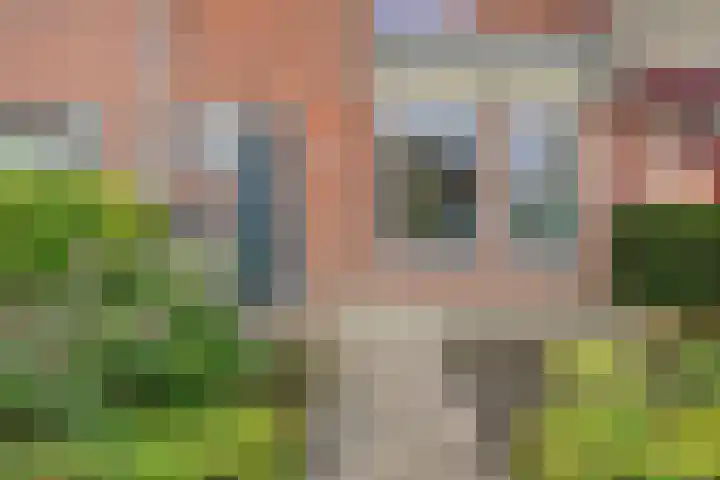 Kolkgriend 34 Almere thumbnail 33