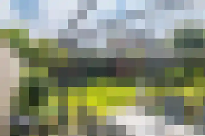 Kolkgriend 92 Almere thumbnail 28