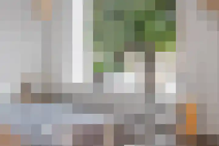 Kolkgriend 92 Almere thumbnail 30