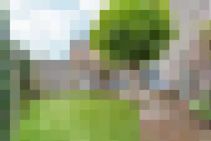Kolkgriend 92 Almere thumbnail 33
