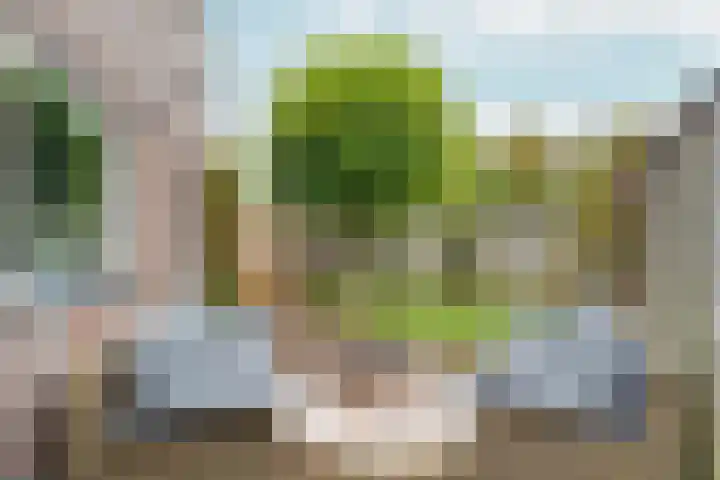 Kolkgriend 92 Almere thumbnail 36