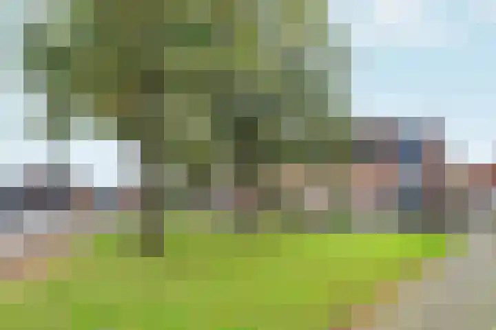 Kolkgriend 92 Almere thumbnail 76