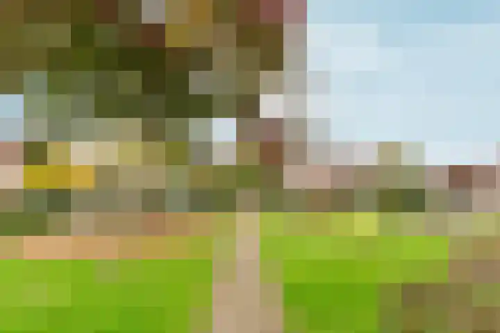 Kolkgriend 92 Almere thumbnail 77