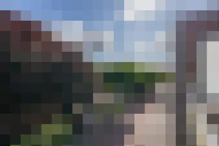 Kolkgriend 92 Almere thumbnail 87