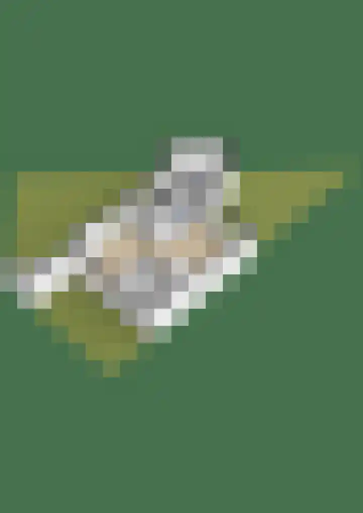 Kolkgriend 92 Almere thumbnail 87