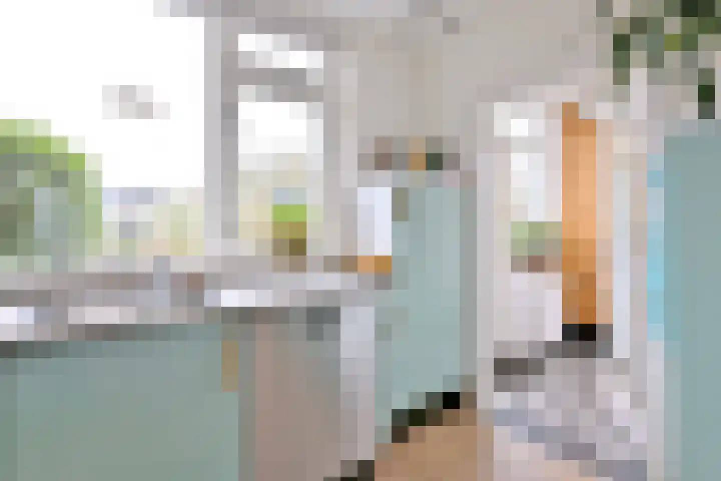 Kolkmansweg 34 Schalkhaar thumbnail 14