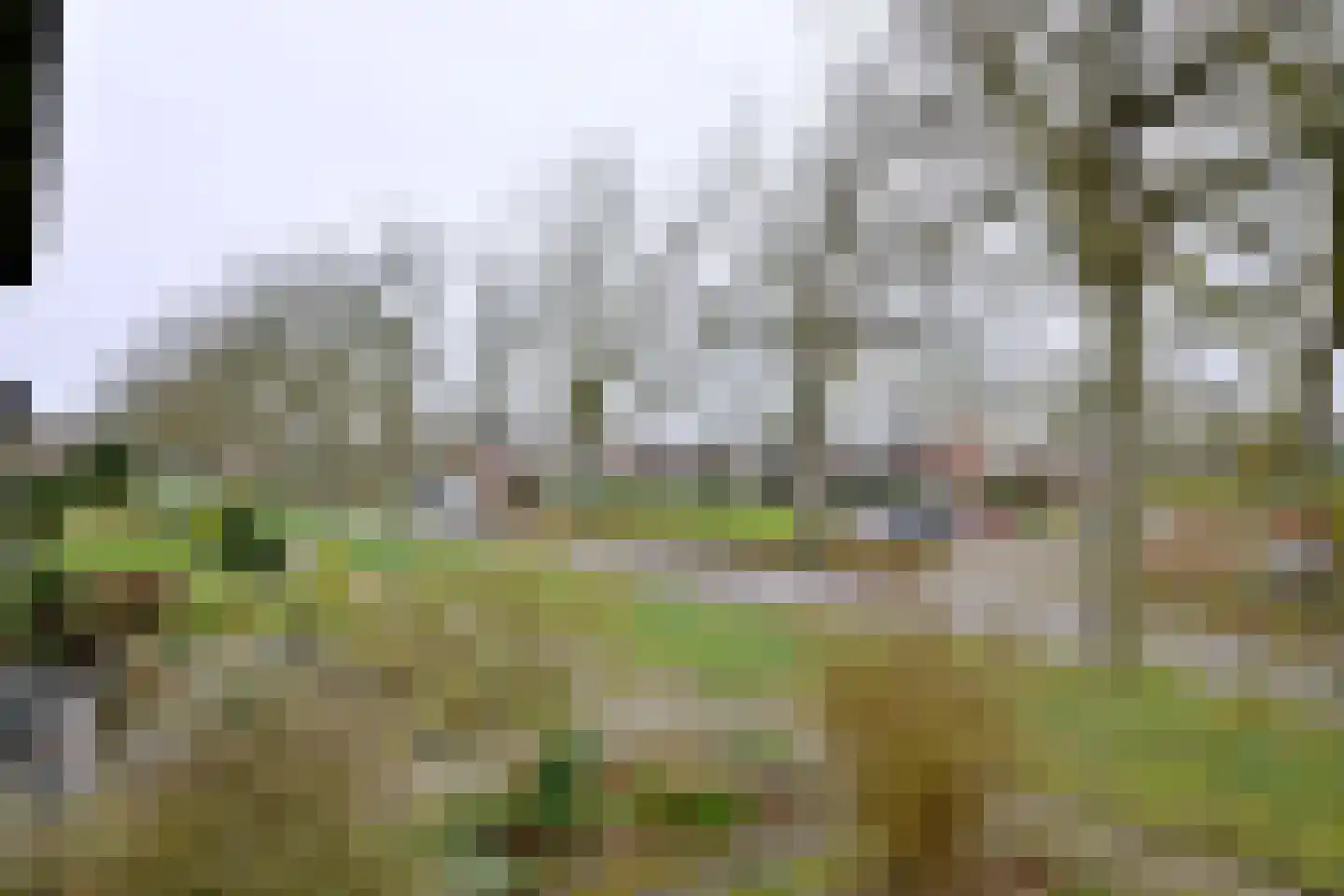 Kolkmansweg 34 Schalkhaar thumbnail 22
