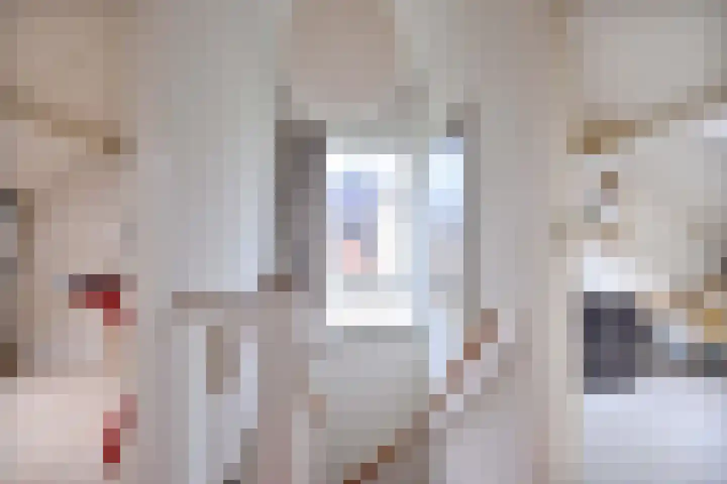 Kolkmansweg 34 Schalkhaar thumbnail 29