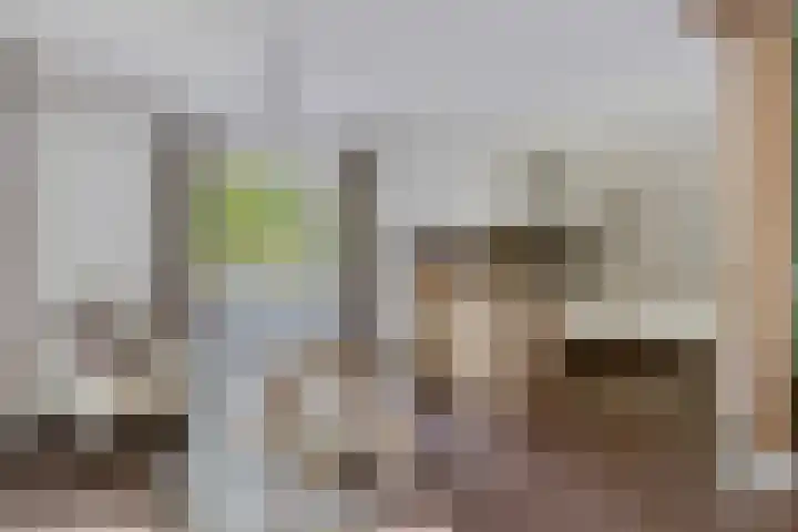 Kolkstraat 11 Sprundel thumbnail 16