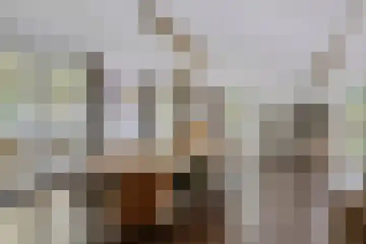 Kolkstraat 11 Sprundel thumbnail 18