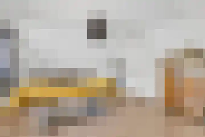 Kolkstraat 11 Sprundel thumbnail 34