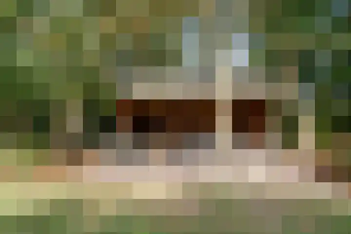 Kolkstraat 11 Sprundel thumbnail 41